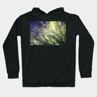 Morning To Remember Hoodie